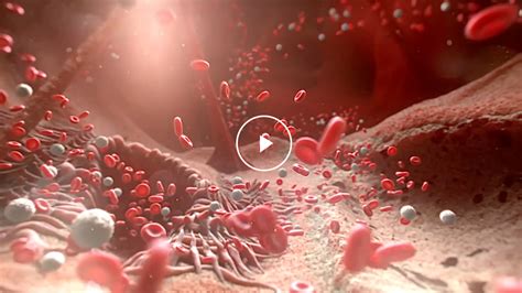 4K科技医学DNA细胞修复3D动画 细胞 细胞DNA 化学 分子 粒子 激活 肌肤 细胞活力 激活细胞 肌理动画 干细胞 细胞核研究 分裂 ...