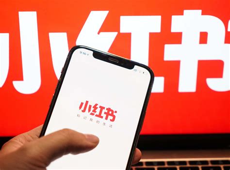 小红书.口袋巧克力原创作品.禁止商用图片