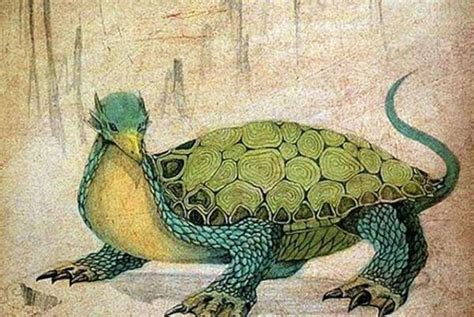 揭秘远古人类神秘的“龟甲”占卜