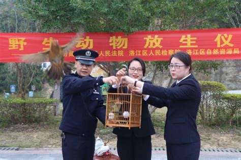 别干这“鸟事”！柳州多人被抓，40多只鸟被警方依法扣押_澎湃号·媒体_澎湃新闻-The Paper