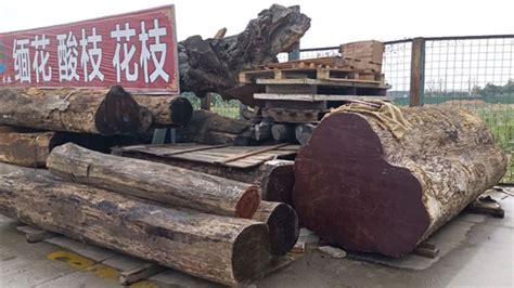 旧木材交易市场里一般会卖哪些木材？_行业资讯_木头云