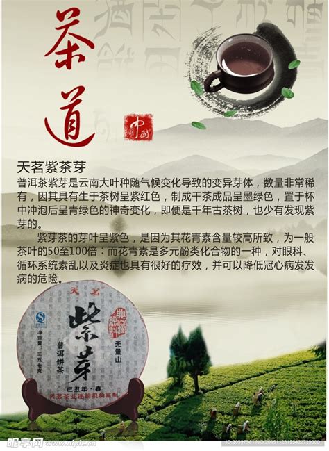 普洱茶宣传设计图__招贴设计_广告设计_设计图库_昵图网nipic.com