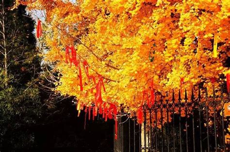 在西安，秋天必去的八大美景！