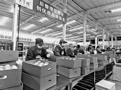 洛川县农业(苹果)市场与信息中心简介-中国吉林网