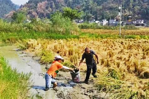 观赏鱼养殖示范基地 - 郑州川海饲料有限公司