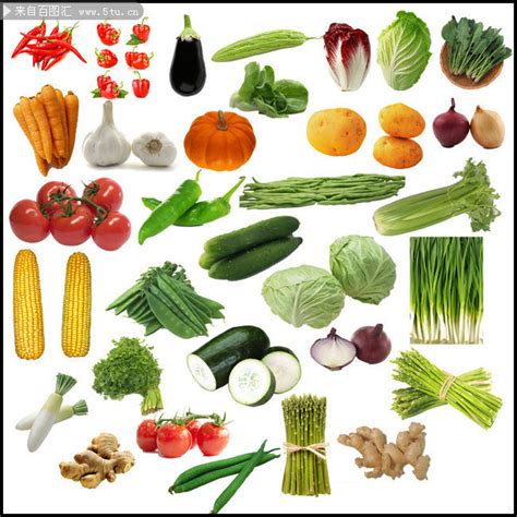 蔬菜大全100种,100种蔬菜图片大全,蔬菜种类大全名字_大山谷图库