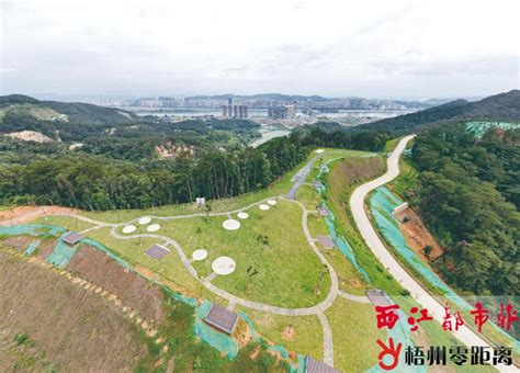 广信森林公园多个区域建设成型 - 梧州零距离网
