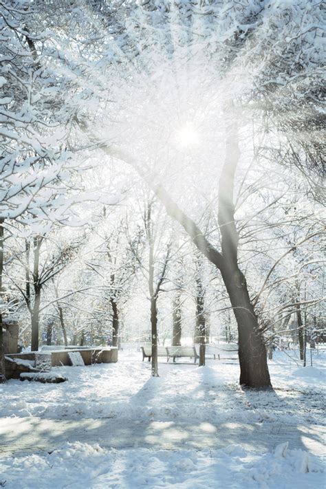 创意冬季背景图片-闪亮的下雪风景素材-高清图片-摄影照片-寻图免费打包下载