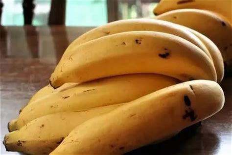 世界上最长的香蕉种类是什么 牛角香蕉（大概60cm）_探秘志