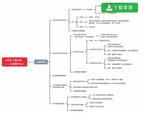 初一下册生物知识点苏教版