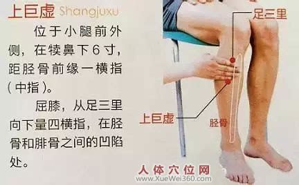 虚里的准确位置图图片 虚里的准确位置图图片