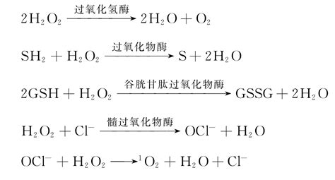 铝与氢氧化钠反应方程式 你知道吗_知秀网