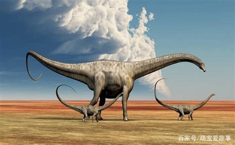 2020巨型蜥脚类恐龙排行榜（第二梯队）_凤凰网