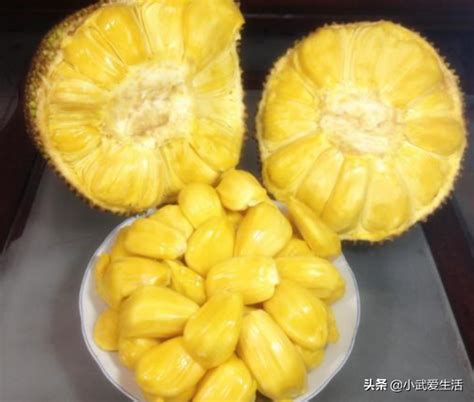 菠萝蜜籽怎么吃,食用,作用_大山谷图库
