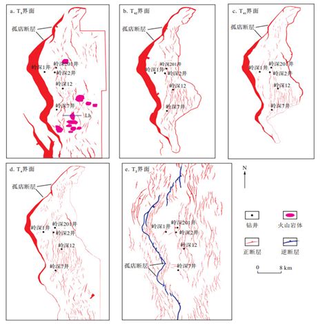 Tectonic characteristics and evolution of typical rift basins in ...