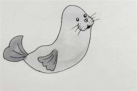 海豹简笔画 - 天奇生活