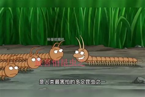 很像蜈蚣的虫子叫什么,和蜈蚣很像的虫子_大山谷图库