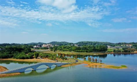 过年去哪儿？东莞这个1500多亩的湿地公园正式免费开放啦！