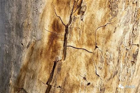 怎么样防止木材开裂-百度经验
