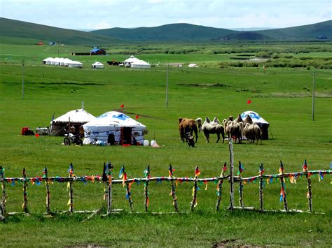蒙古包——游牧民族的神奇摇篮 -草原元素---蒙古元素 Mongolia Elements