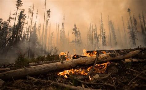 加拿大东西海岸400多处大火依旧猛烈，或持续整个夏季-EHS 动态-环境健康安全网