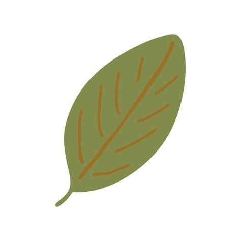 leaf hand drawn. , minimalism isolated icon sticker 13134708 Vector Art ...