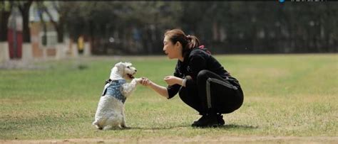 面对家人的催婚、催生，我选择沉默并养了只狗 - 知乎