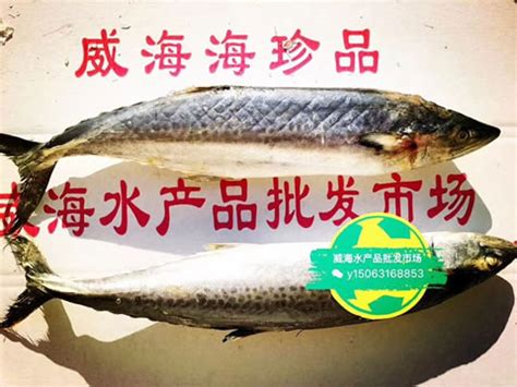 山东威海鱼类批发 冷冻沙钻鱼 12.5公斤/板 饲料鱼可做调味鱼-阿里巴巴