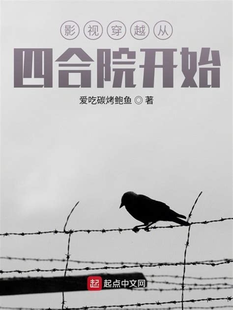 《影视穿越从四合院开始》小说在线阅读-起点中文网