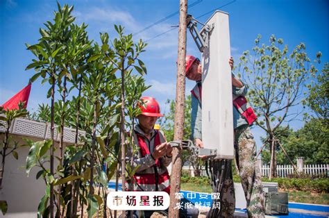 2022安徽省宣城市基层农技推广特聘岗位计划招募公告【198人】
