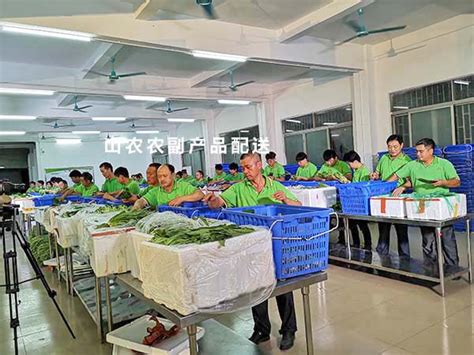 蔬菜分拣区-广东山农农业集团有限公司