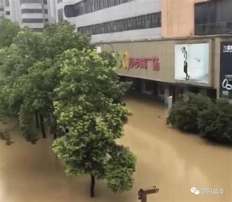 长江上游今年最大洪水过境重庆主城_时图_图片频道_云南网