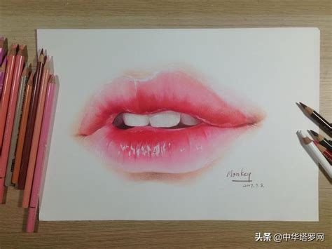 二十种嘴型图解图片