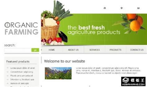 国外农产品网站设计_floris-站酷ZCOOL
