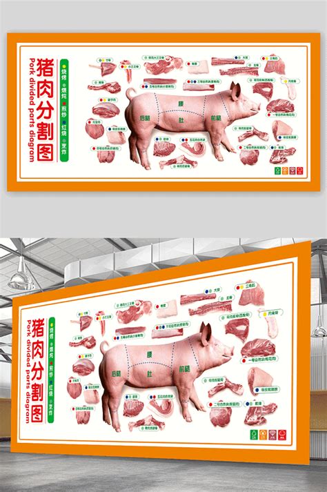 猪肉分割,宣传类展板,宣传展板模板,设计模板,汇图网www.huitu.com