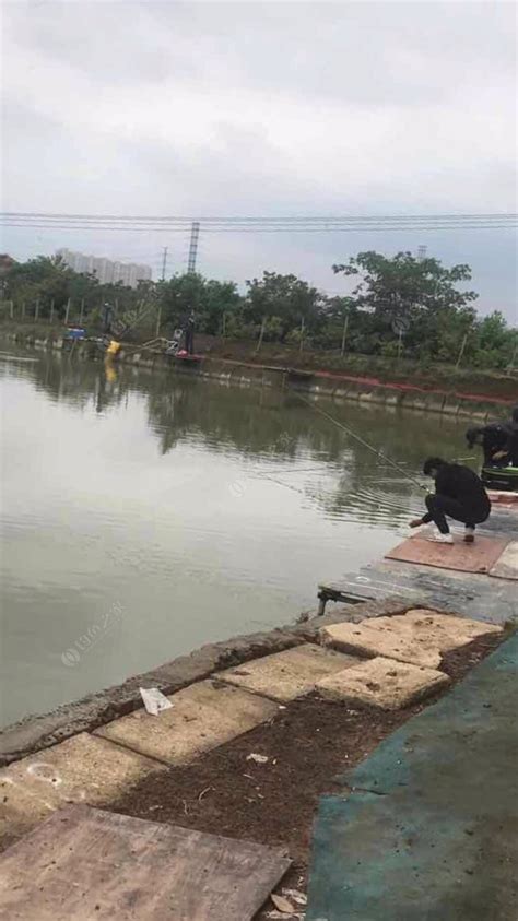 深圳钓场_深圳钓场大全_深圳哪里能钓鱼 - 钓鱼之家