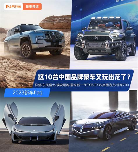成长中的中国电车豪华品牌(不再是廉价代工产业)-CarMeta