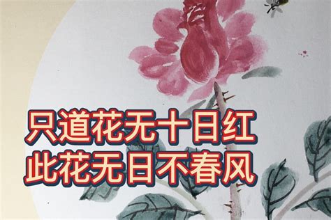 帝师龙婿秦无道全集小说-秦无道韩梦曦全章节阅读-灵异小说-免费小说大全