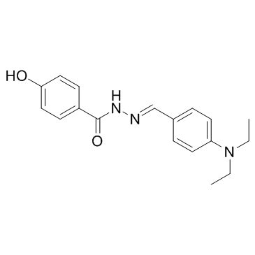 ERRβ和ERRγ激动剂（DY131）