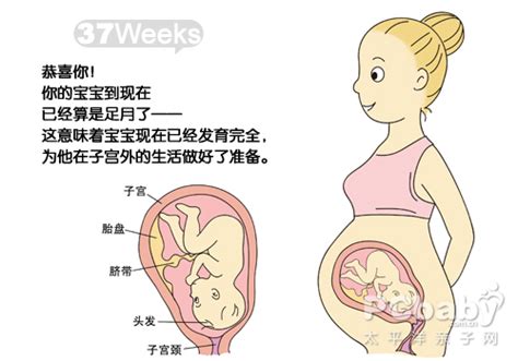 4组动图揭秘孕妇自然分娩顺产的全过程，每个妈妈都是最伟大的-顺产的过程-妈妈宝宝网