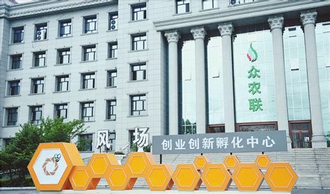 双鸭山今年围绕“五大产业链条”生成60个大项目_黑龙江频道_凤凰网