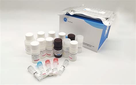 【隆重推出】菲恩生物elisa试剂盒Accquant系列试剂盒-武汉菲恩生物科技有限公司