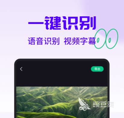 英文视频翻译中文字幕的软件有哪些 好用的翻译app合集_豌豆荚