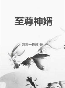 至尊仙婿(岩大姐姐)最新章节全本在线阅读-纵横中文网官方正版