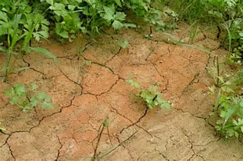 土壤肥力如何？是碱性土壤还是酸性土壤？用手感受下 - 土壤改良 - 新农资360网|土壤改良|果树种植|蔬菜种植|种植示范田|品牌展播|农资微专栏