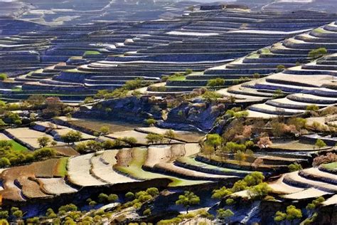 中国最壮观的梯田在甘肃！34年荒山变天堂 成就摄影新去处_凤凰网