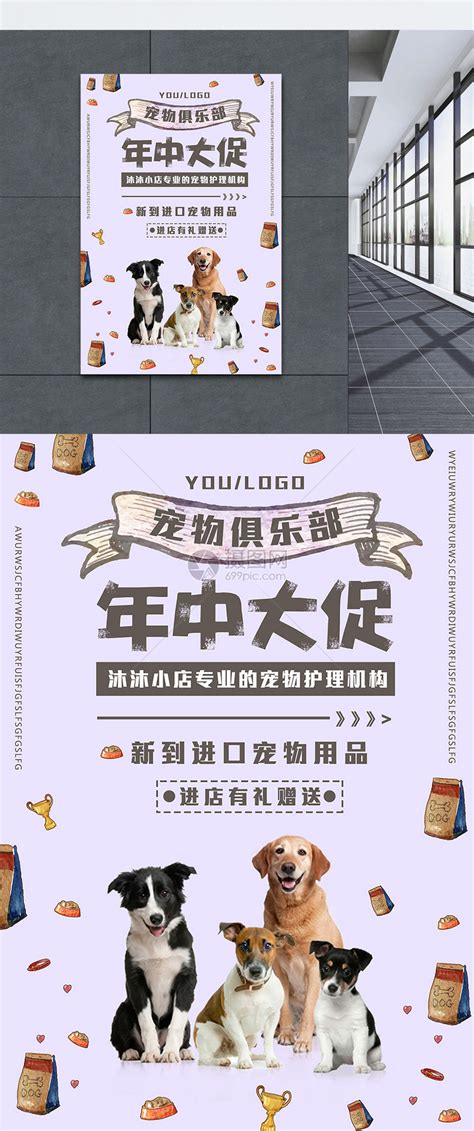 橙黄色宠物用品狗促销可爱电商直播间电商直播创意宠物促销中文海报 - 模板 - Canva可画