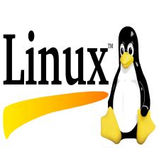 探索 Linux vim/vi 编辑器：介绍、模式以及基本操作演示_vim是一款常用的文本编辑器-CSDN博客