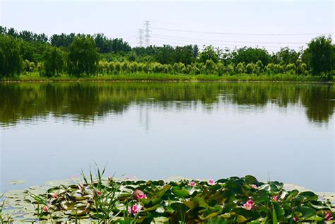 石家庄清凉湾湿地公园智能导览四大功能助力景区打造生态文化乐园 - 小泥人