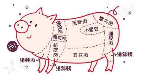 盘点：猪肉20个部位的不同吃法 - 烹饪技巧 - 品口 - pinkou.com